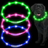 Weewooday blue LED dog collar for nighttime visibility during evening walks