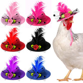Weewooday chicken hat black with feather edge for cute pet costume photos.