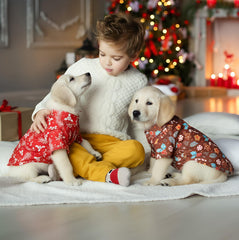 Weewooday Christmas dog shirt gingerbread man design for playful Christmas outfits