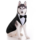 Weewooday dog tuxedo bowtie front for a formal wedding-ready look.