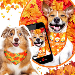 Weewooday festival-patterns-bandana suits multiple pets for coordinated holiday outfits.