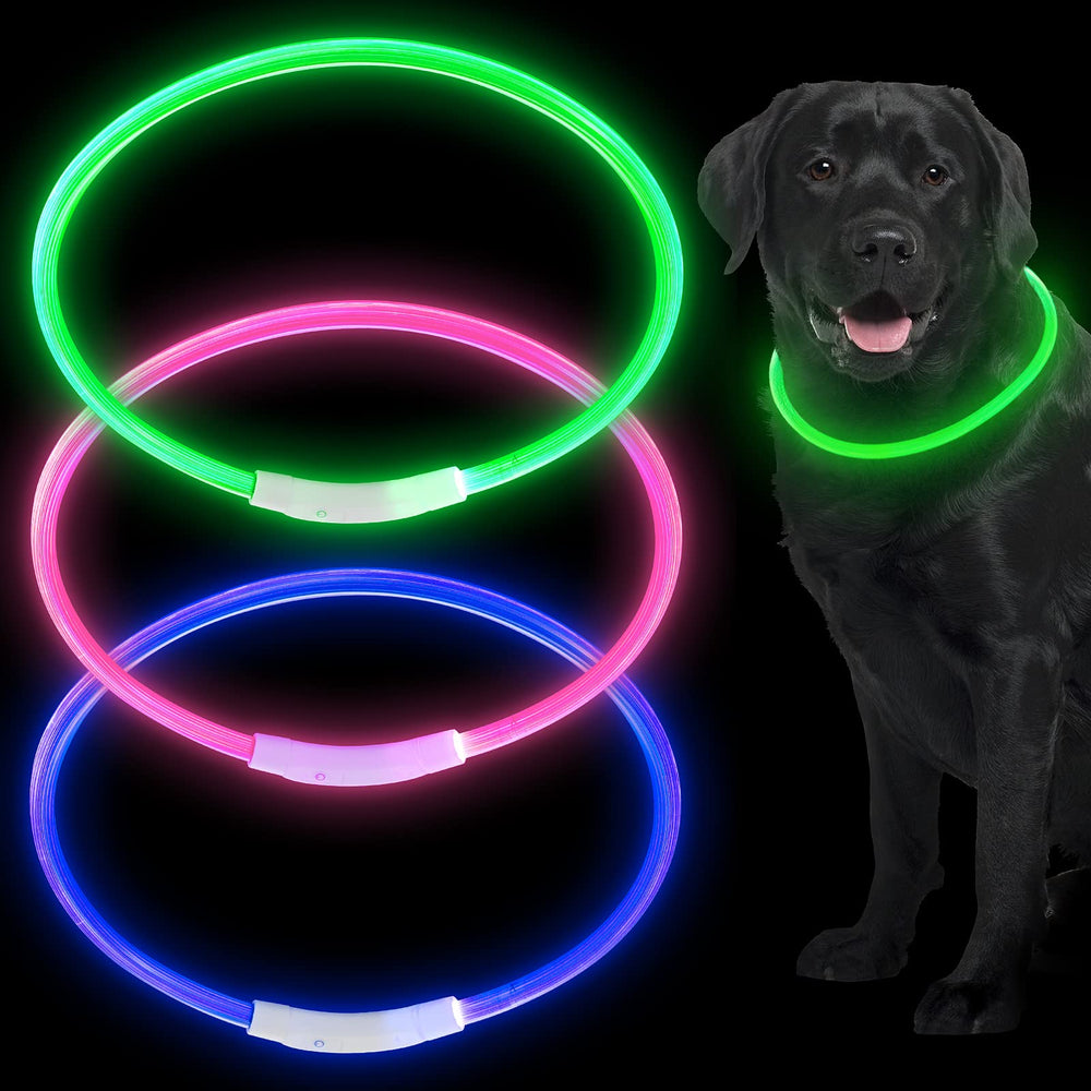 Weewooday LED dog collar blue on dog enhances night visibility for safe walks.