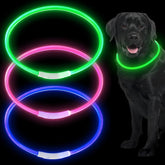Weewooday LED dog collar blue on dog enhances night visibility for safe walks.