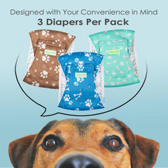 Wegreeco belly band with measurement guide helps find the right fit for medium dogs.