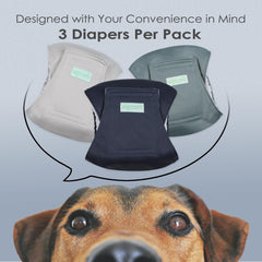 Wegreeco green-pattern belly wrap for house training and mess control