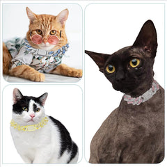 WeimoMonkey dog necklace blue 12in buckle closeup showing secure clasp