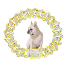 WeimoMonkey puppy chain collar in gold Cuban link shines for daily wear.