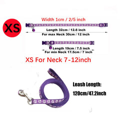 WeimoMonkey XXS collar with reflective strap improves visibility in low light.