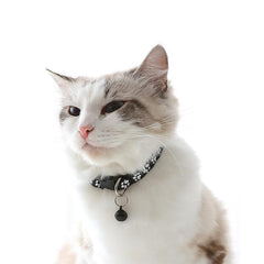 Weimostar blue XS cat collar worn by cat for comfortable daily wear.