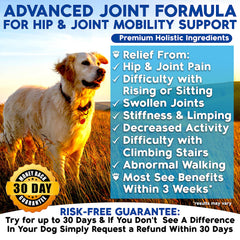 Well Loved dog hip joint chews closeup highlighting palatable, chewable joint care.