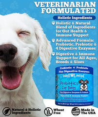 Well Loved Probiotics for Dogs digestive enzymes close-up highlights support for digestion.