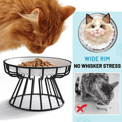 Wellbro cat bowls ceramic dish shows durable dishwasher-safe bowl