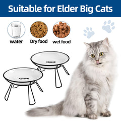 Wellbro cat bowls water bowl closeup highlighting ceramic durability