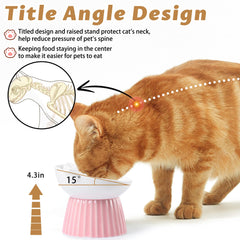 Wellbro whisker friendly wide dish prevents whisker fatigue during meals