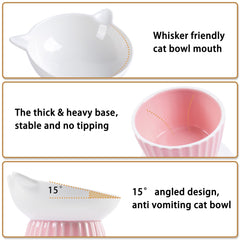 Wellbro ceramic raised cat bowl wide dish prevents whisker fatigue during meals.