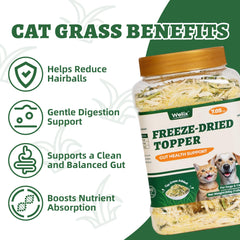 Wellix alivio de bolas de pelo con hierba de gato, apoyo natural para la higiene diaria.