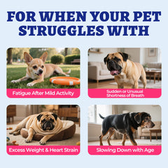 Wellix Cardio Bites chicken-flavor chew appealing to dogs