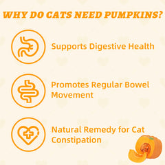 Wellix cat treats chicken formula packaging emphasizes protein flavor and digestibility.