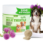 Wellix milk thistle powder for dogs and cats with scoop on kitchen counter for easy dosing