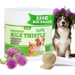 Wellix milk thistle powder for dogs and cats with scoop on kitchen counter for easy dosing