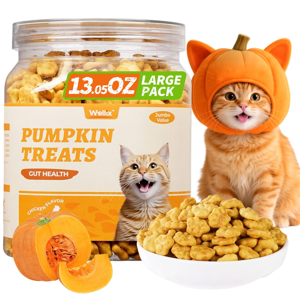 Wellix pumpkin cat treats bowl closeup shows texture and pumpkin fiber benefits.