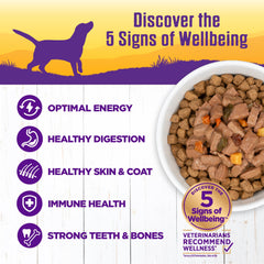Wellness Complete Health chunky meat and veggie stew highlights tender protein and vegetables