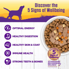 Wellness complete health wet dog food ingredients image emphasizes grain-free formula with vegetables.