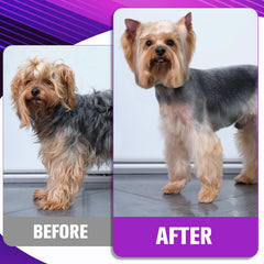 Wenshall professional dog grooming straight scissor 7in for precise straight lines.