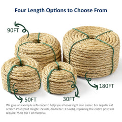 WePet catnip-tip technique with sisal rope enhances kitten interest in the scratcher.