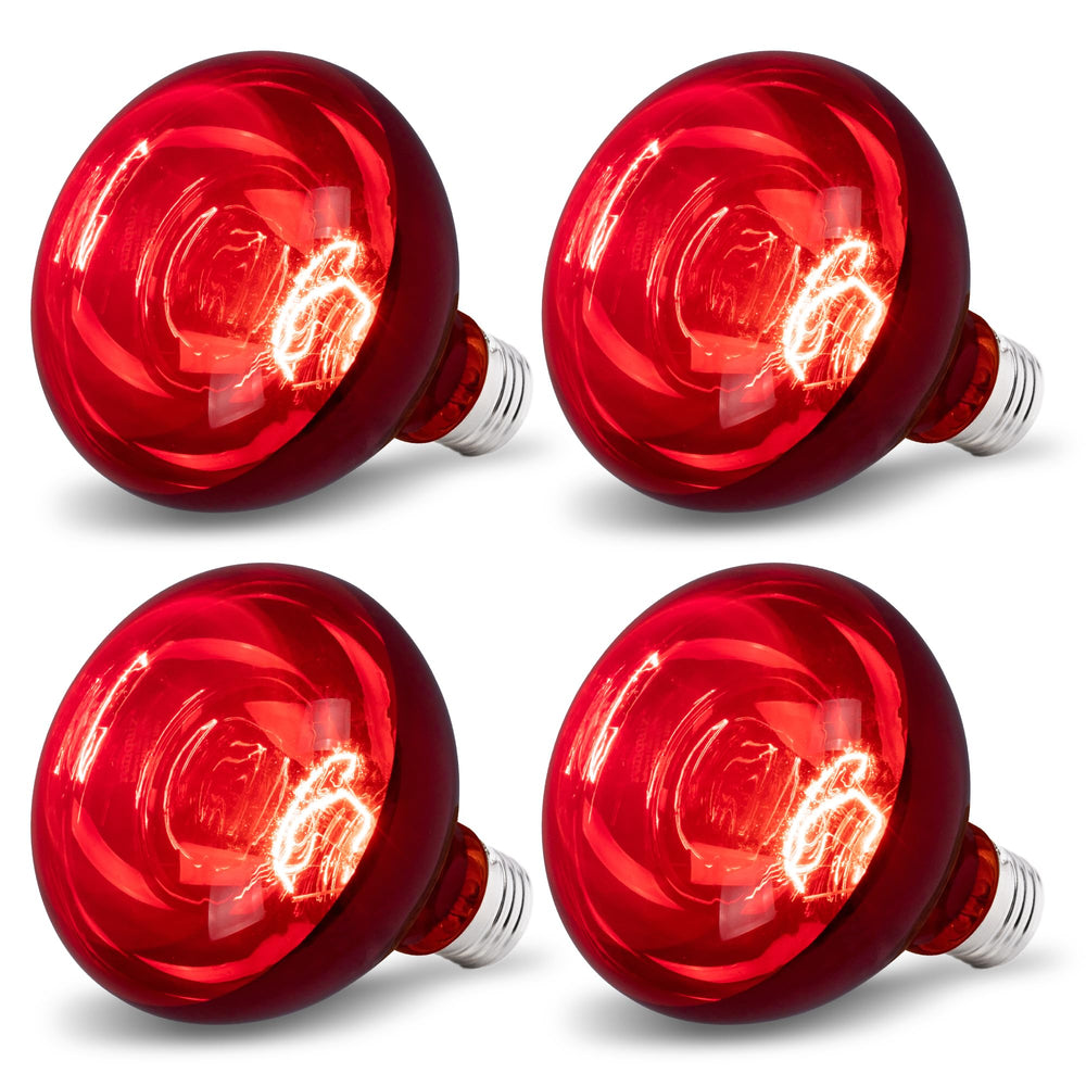 Wesome Lighting 250W heat lamp bulb close-up delivering warm brooder heat for chicks.