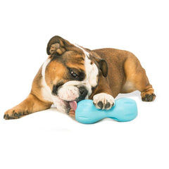 West Paw Qwizl floats for water-based fetch and play.
