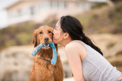 West Paw Seaflex Snorkl floating-toy-water: ideal for water fetch