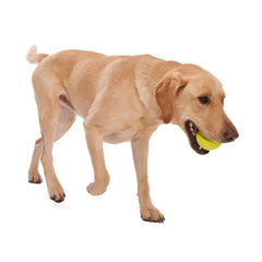 WEST PAW Zogoflex Jive Ball made in America and recyclable.
