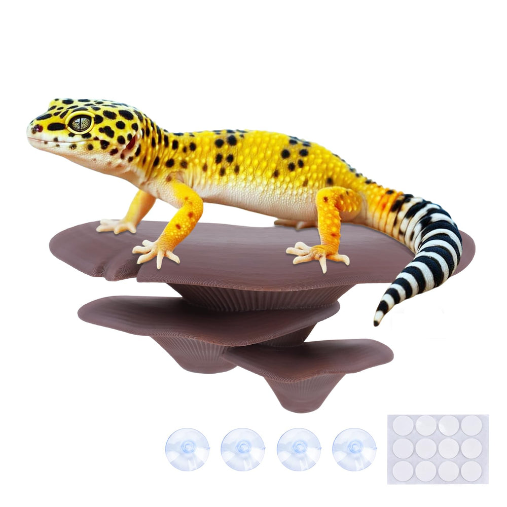 Westant mushroom decor cocoa wide-shot enhances forest look in reptile terrariums