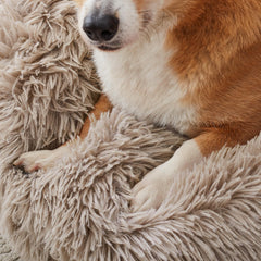 WESTERN HOME WH calming bed anti-slip bottom features safety during play and rest.