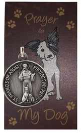 Westmon Works St Francis dog medal on a collar, a comforting symbol.