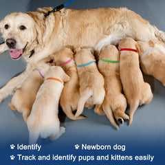 Whaline soft velvet material closeup emphasizes gentle contact on tiny necks during milestones.