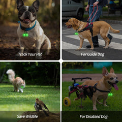 Whimsii Bells easy-clip clasp enables quick, secure collar attachment.