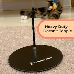 Whiskertons bird toy suction base sticks securely to floors or walls for versatile setups