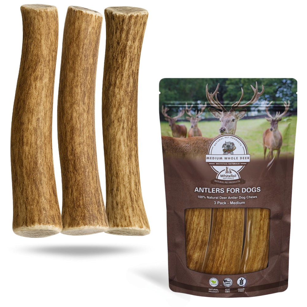 WhiteTail Naturals 3-pack medium deer antlers closeup demonstrates durable, long-lasting chew for medium dogs