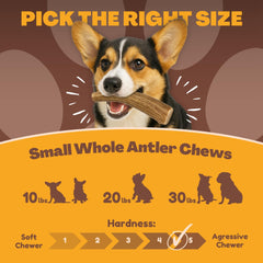 WhiteTail Naturals antlers naturally shed Texas crafted for sustainable chew