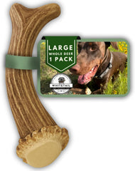 WhiteTail Naturals large deer antler chew for aggressive chewers, long-lasting
