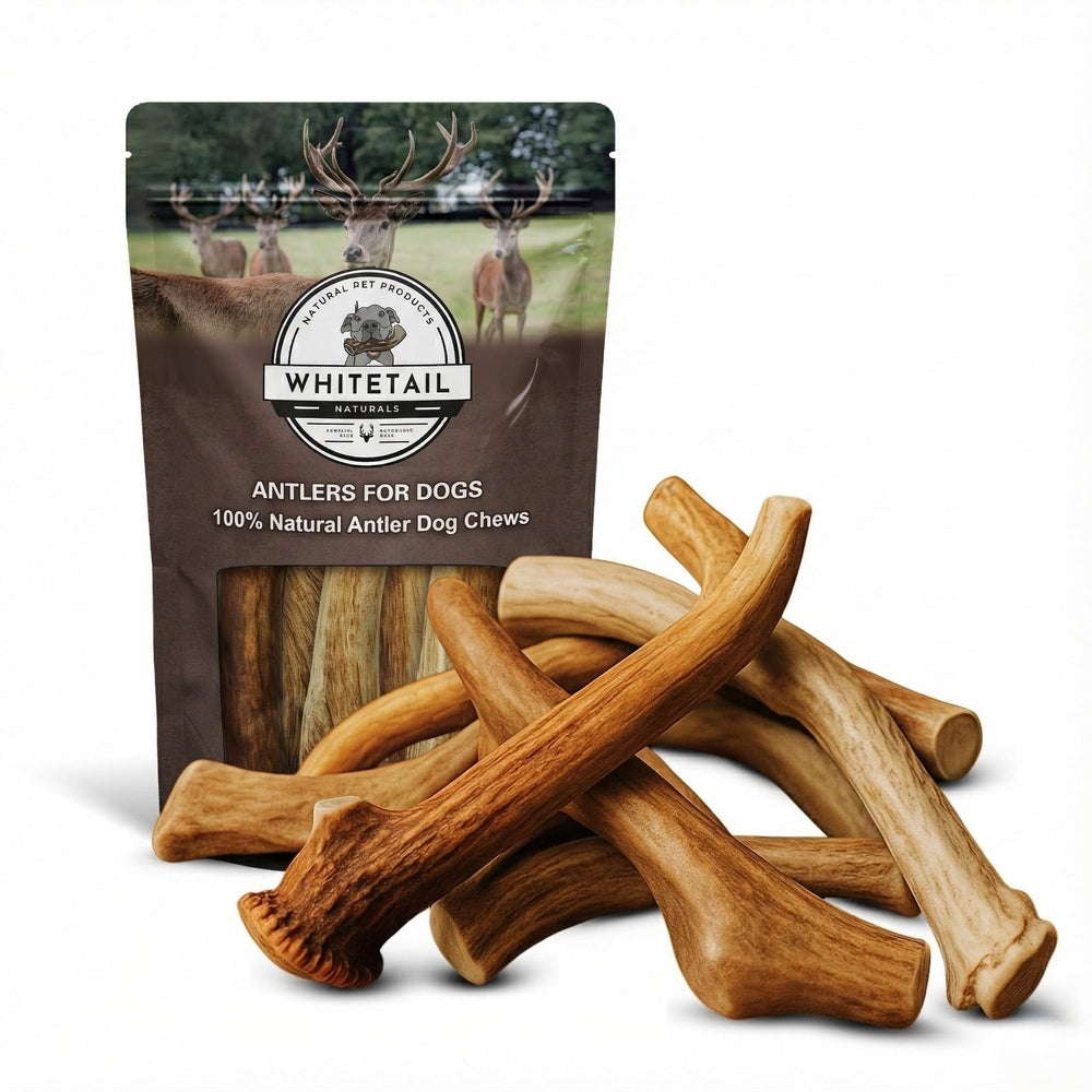 WhiteTail Naturals bulk-pack deer antlers for dogs offer durable chew options for bigger breeds.