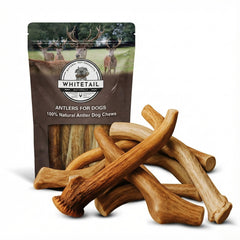 WhiteTail Naturals bulk-pack deer antlers for dogs offer durable chew options for bigger breeds.