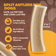 WhiteTail Naturals elk antler slices for medium and large dogs, clean indoor, mess-free chew