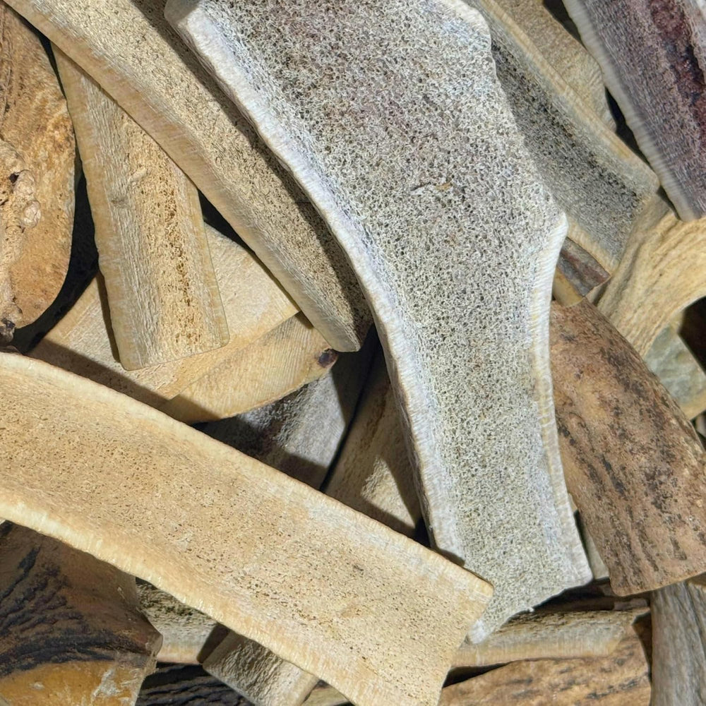 WhiteTail Naturals sun-aged split elk antlers pack for dogs, long-lasting chew for boredom relief