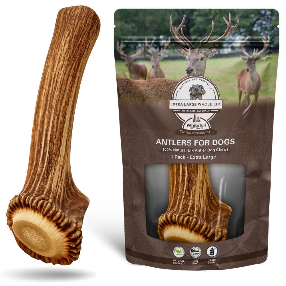 WhiteTail Naturals XL elk antler pack for large dogs—durable, mess-free chew.