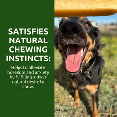 WhiteTail Naturals Yak Cheese Dog Chews; low-odor and indoor-friendly chew for quiet time.