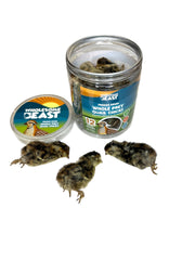 Wholesome Beast usa-sourced quails underline trusted ingredient sourcing.