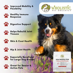 Wholistic Pet Organics powder being added to dog food for easy dosing.